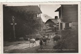 Les Marecottes mit Ziegen
