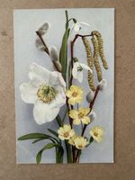 Konvolut 9 6 Blumen-AK gelaufen