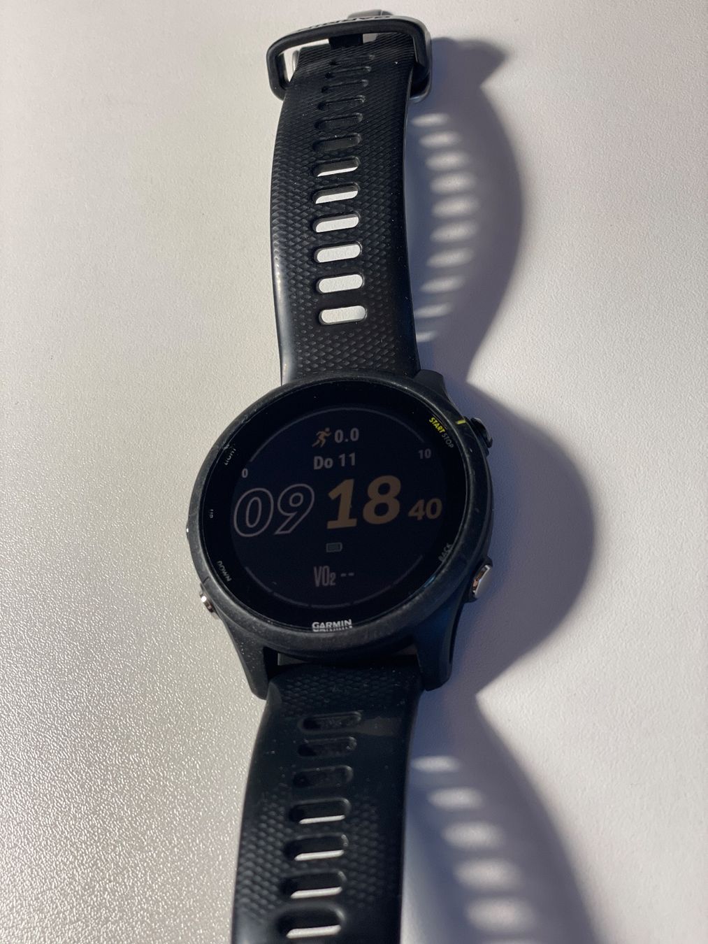 Garmin Smartwatch: Garmin Forrunner 255 Music – Usato da Lupfig venduto da T765RS 3