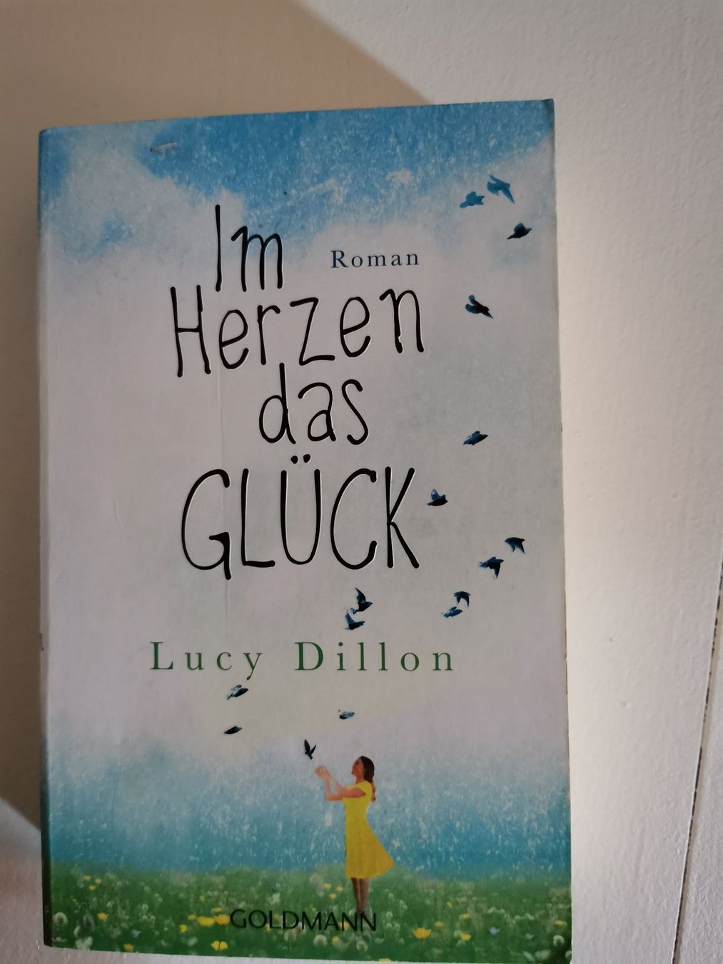 Bücher: Lucy Dillon - 6 Romane – Gebraucht aus bern von jeannie2006 6