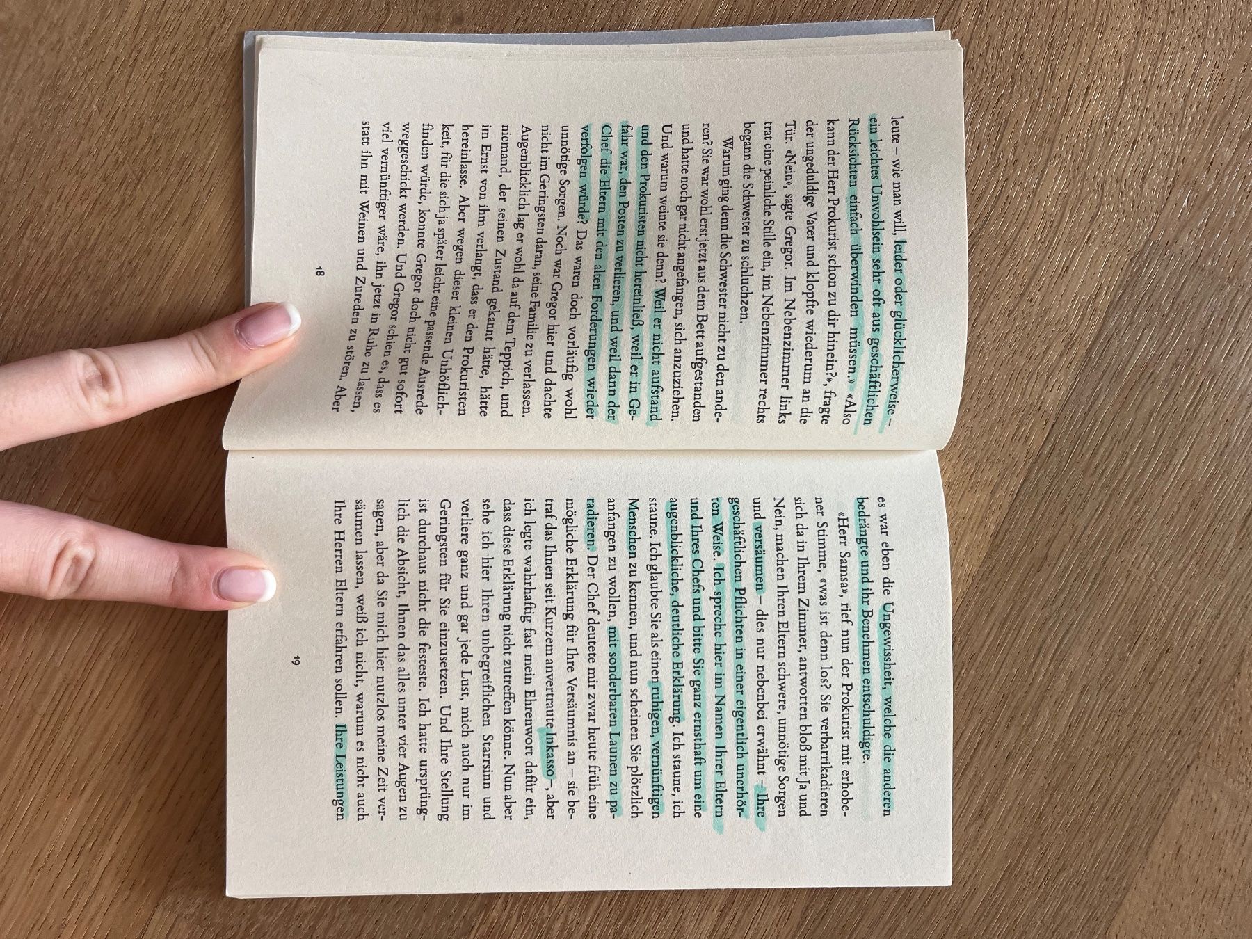 Libri: Die Verwandlung - Franz Kafka – Usato da Laupen BE venduto da lee_ym6v 5