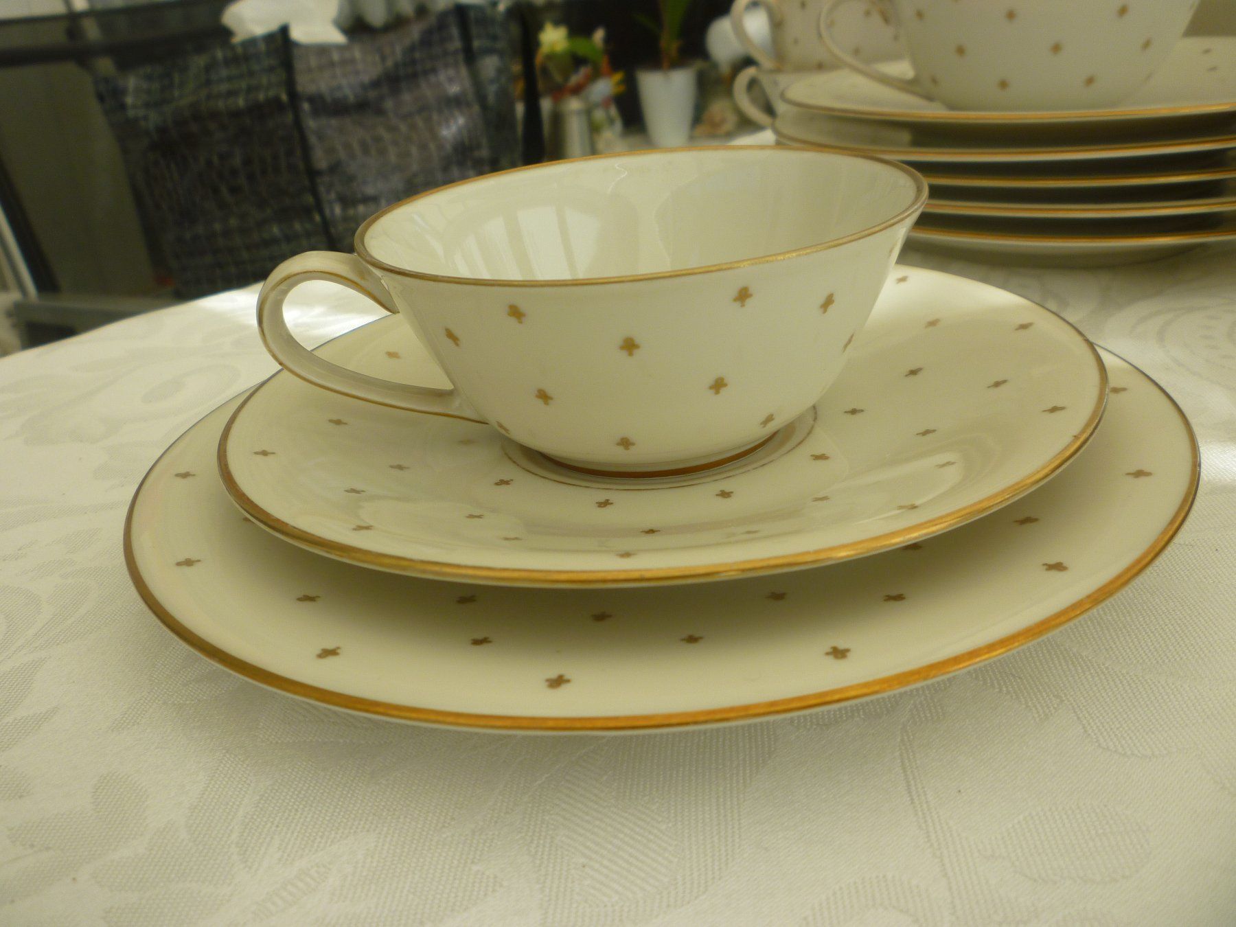 Set di piatti: kaffeeservice Langenthal – Usato da Langnau am Albis venduto da Molosser 1