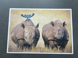 NASHORN