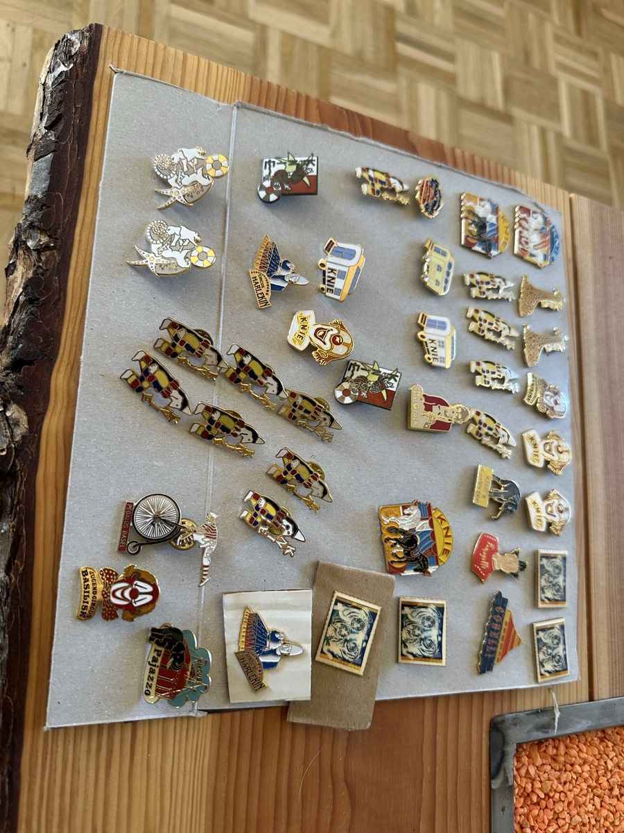 Plaketten & Abzeichen: Zitkus pins – Gebraucht aus Waldkirch von RS_99