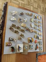Zitkus pins