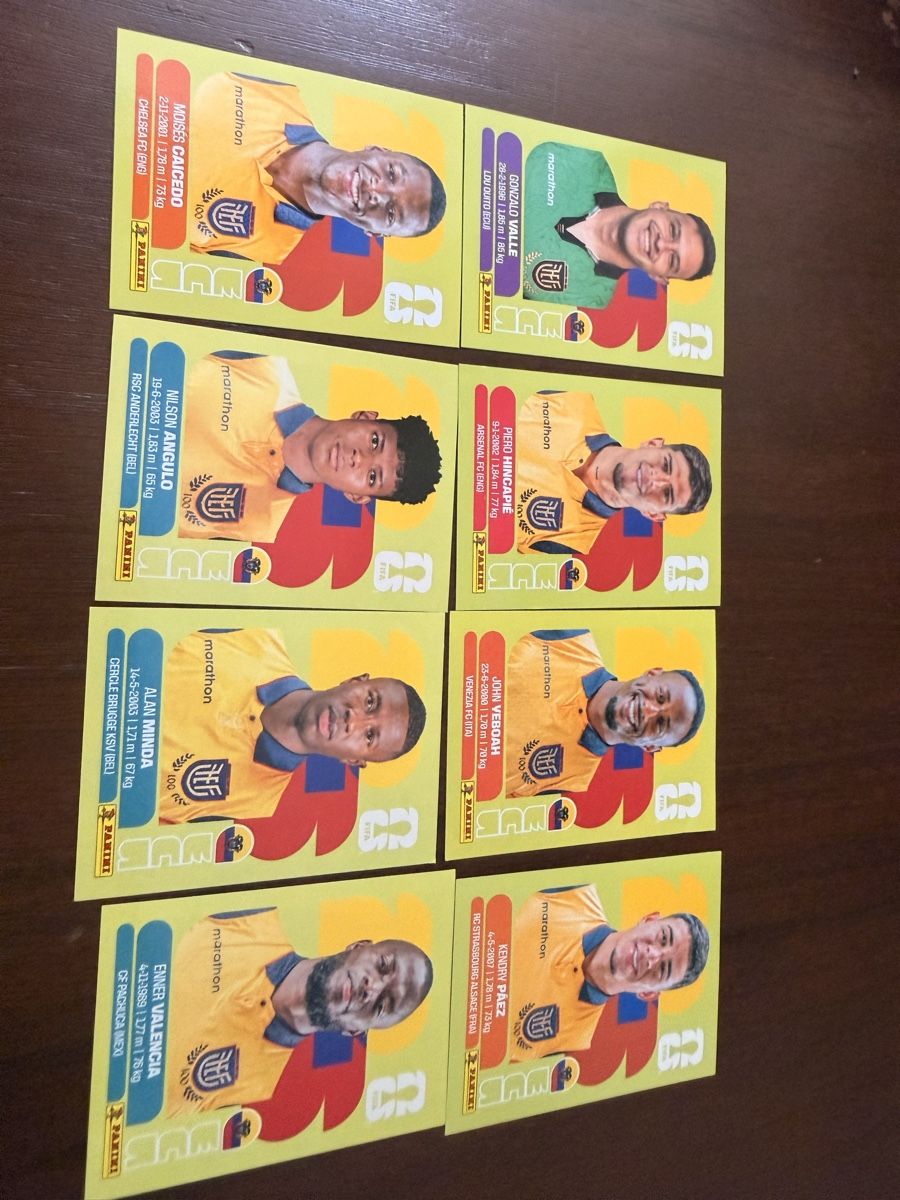 Panini Carte collezionabili: Panini WM 2026 ECU – Nuovo (secondo la descrizione) da Obernau venduto da lau_q9xp