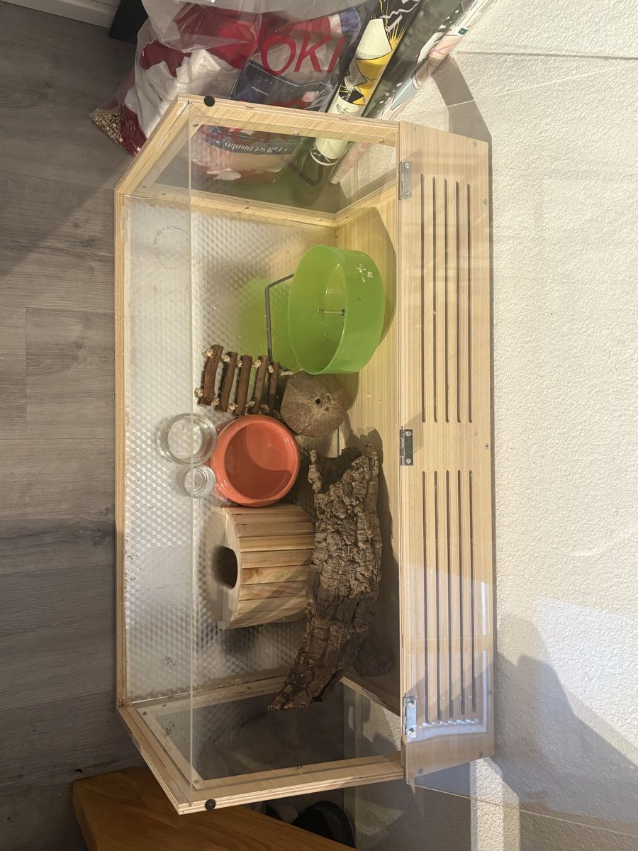 Terrario: Terrarium mit viel Zubehör – Usato da Eiken venduto da ren_yk6f 2