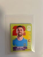 ESP 2/5/6/7/8/11/14/16/18/19/20 - Panini WM Sticker