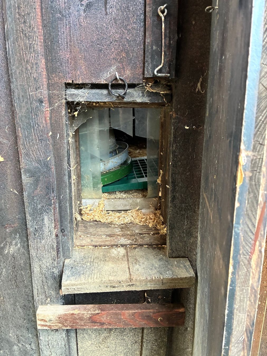 Cages, transport & sécurité: Altes Hühnerhaus – D'occasion à Ebnat-Kappel par wind-zenz 6