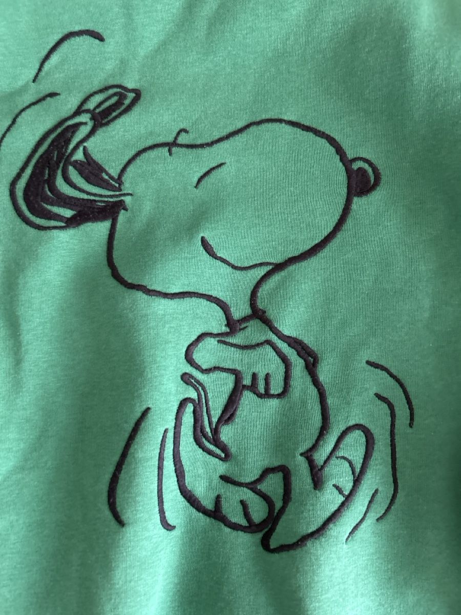 C&A Maglioni & Felpe: Peanuts C&A Pulli, Gr. M, Grün - Süsser Snoopy Comic-Look! – Usato da Siebnen venduto da schnell05 1