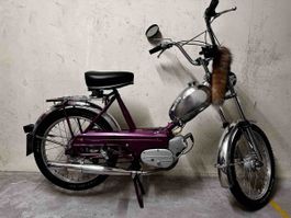 Pony Cross 503 GT