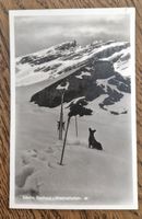 Stilleben Skier u.Hund vor Säntis Observatorium 30iger Jahre