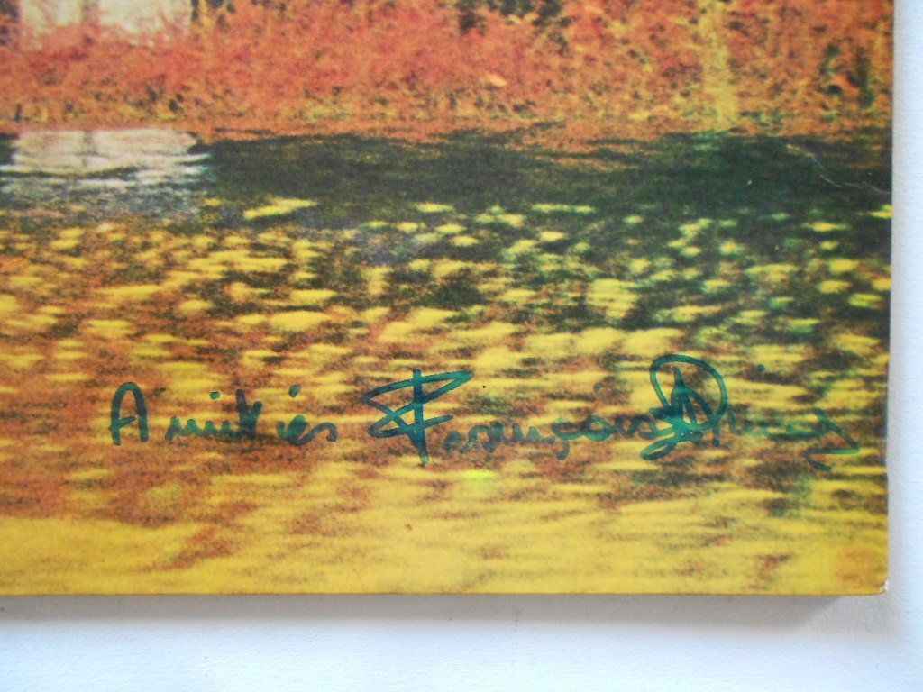 Dischi in vinile: FRANCOISE RIME  -  TROUBADOUR – Usato da Bex venduto da Giorgiob 1