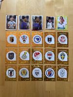 15xBilder+5xCoca-Cola Sticker keine doppelten Panini WM 2026