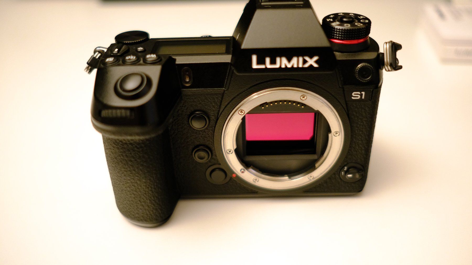 Panasonic Fotocamera: Lumix S1 mit Batteriegriff DMW-BGS1 – Usato da Unterengstringen venduto da simonwidmer 1