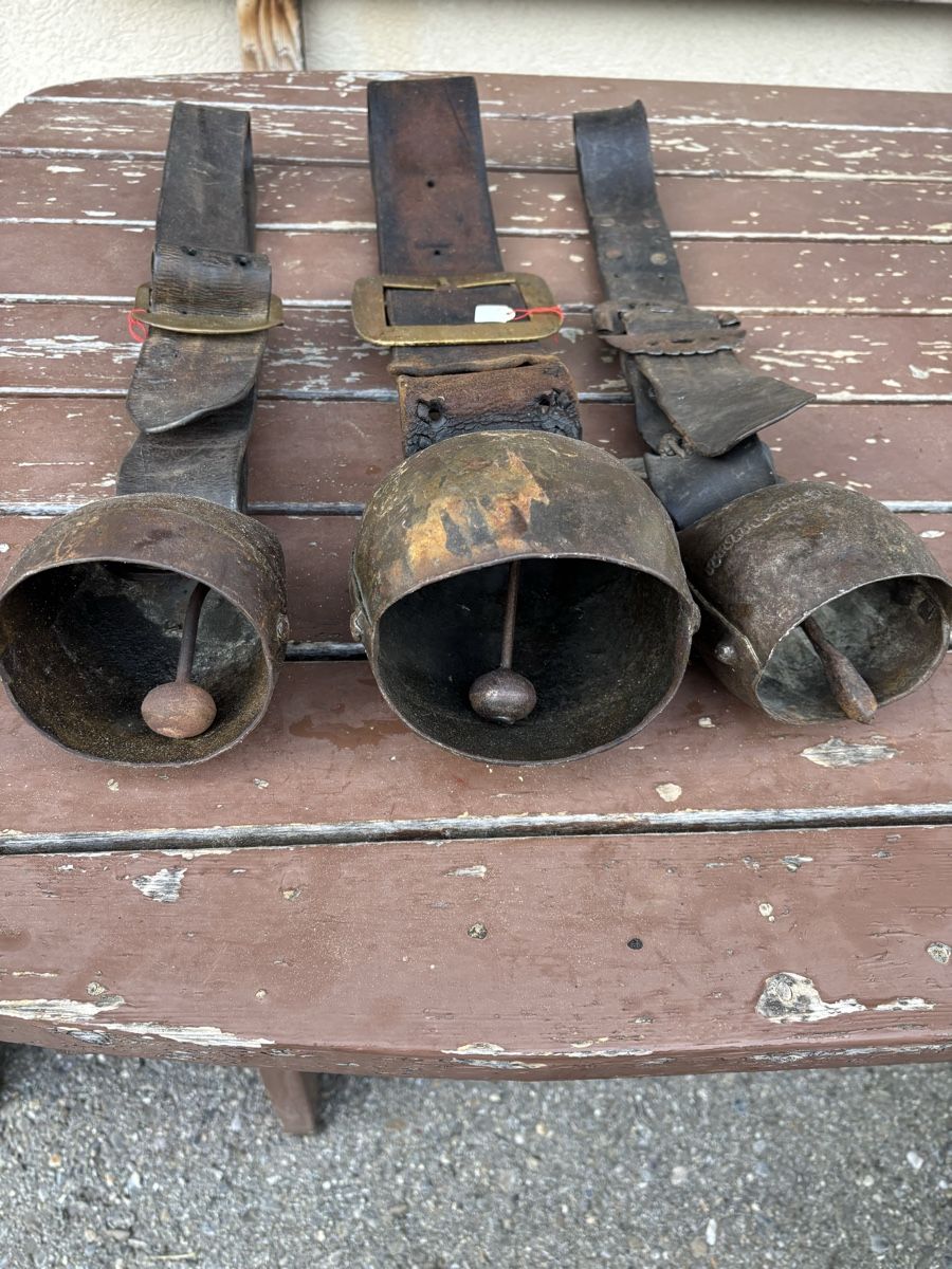 Campanacci mucche: 3 Alte Schellen – Usato da Schangnau venduto da Roseggli82 7