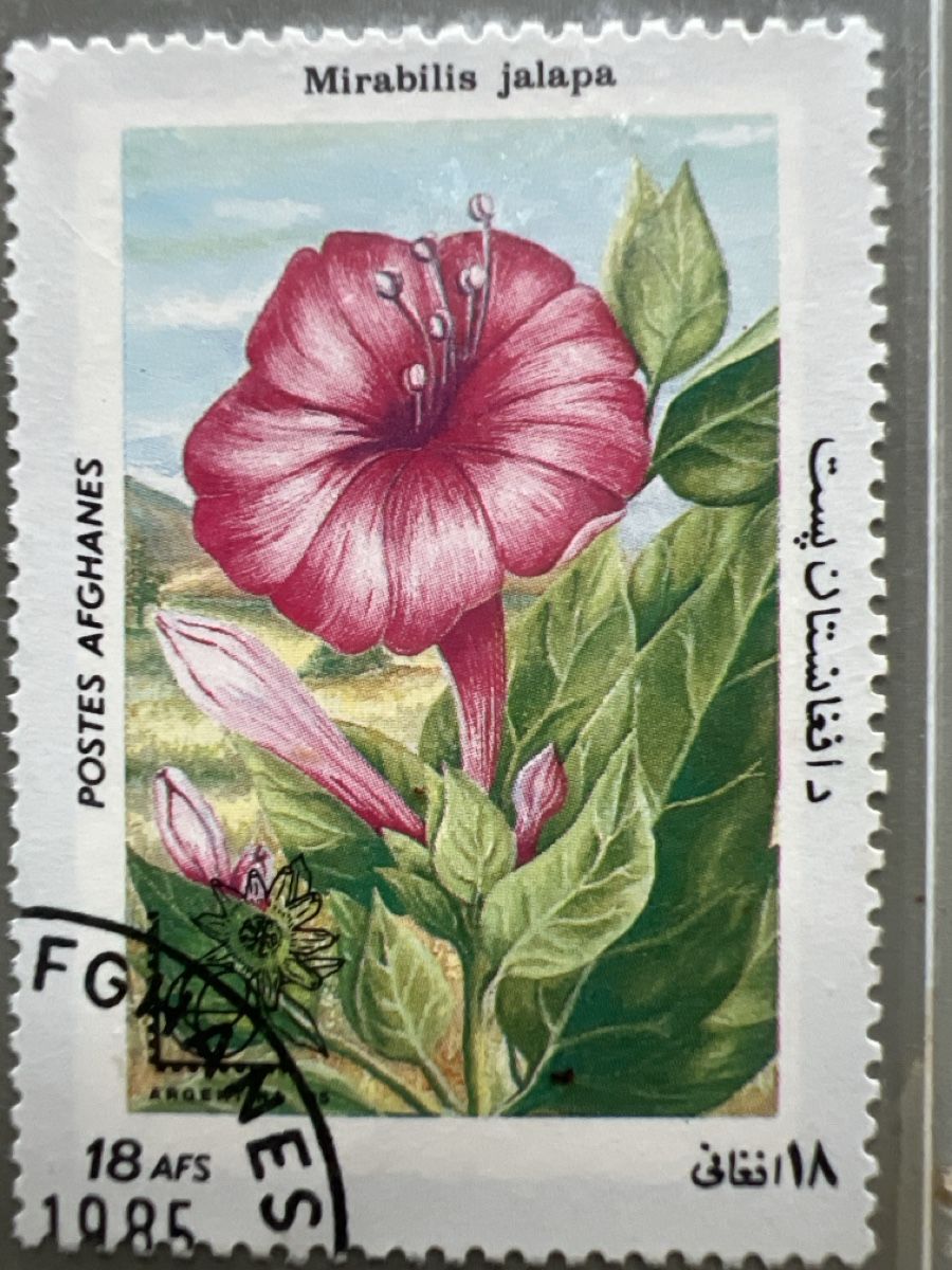 Tutti i francobolli: Briefmarken Afghanistan 1985 – Usato da Glattbrugg venduto da Artos67 5