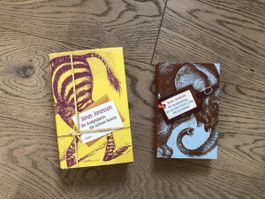 2 Romane Jonas Jonasson: Analphabetin, Hundertjährige