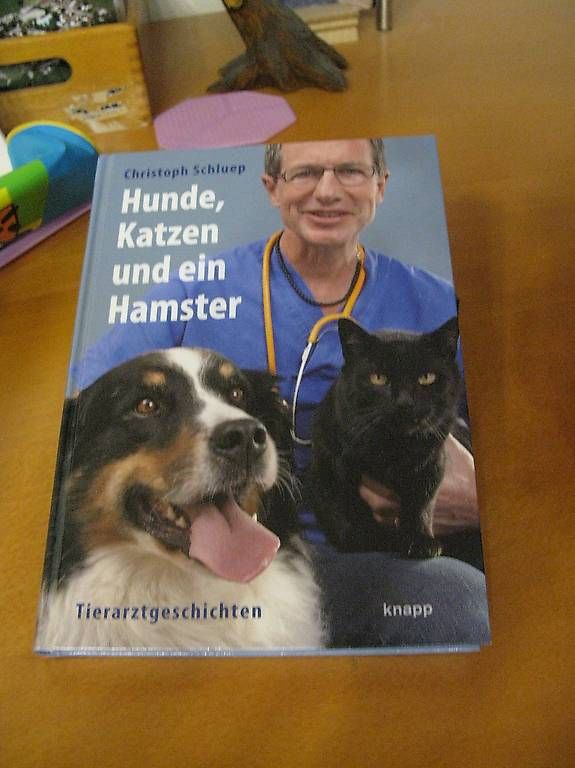 Bücher: Kinderbuch ab 8 Jahren – Gebraucht aus Grenchen von eule43