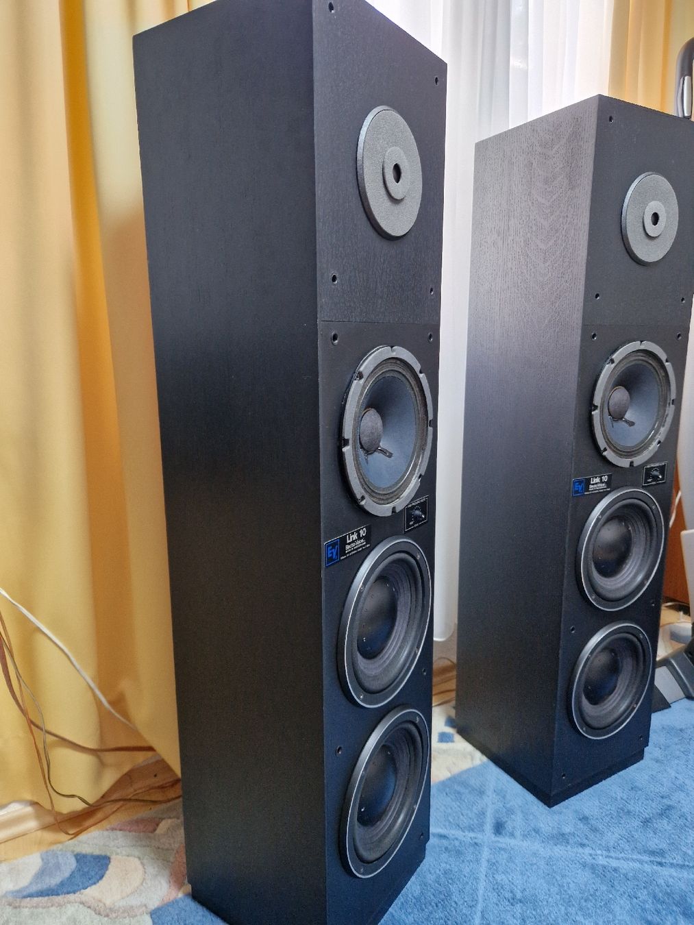 Electro-voice Casse acustiche: Elektro Voice Link 10 – Usato da Arbon venduto da Mayak_Sound 4