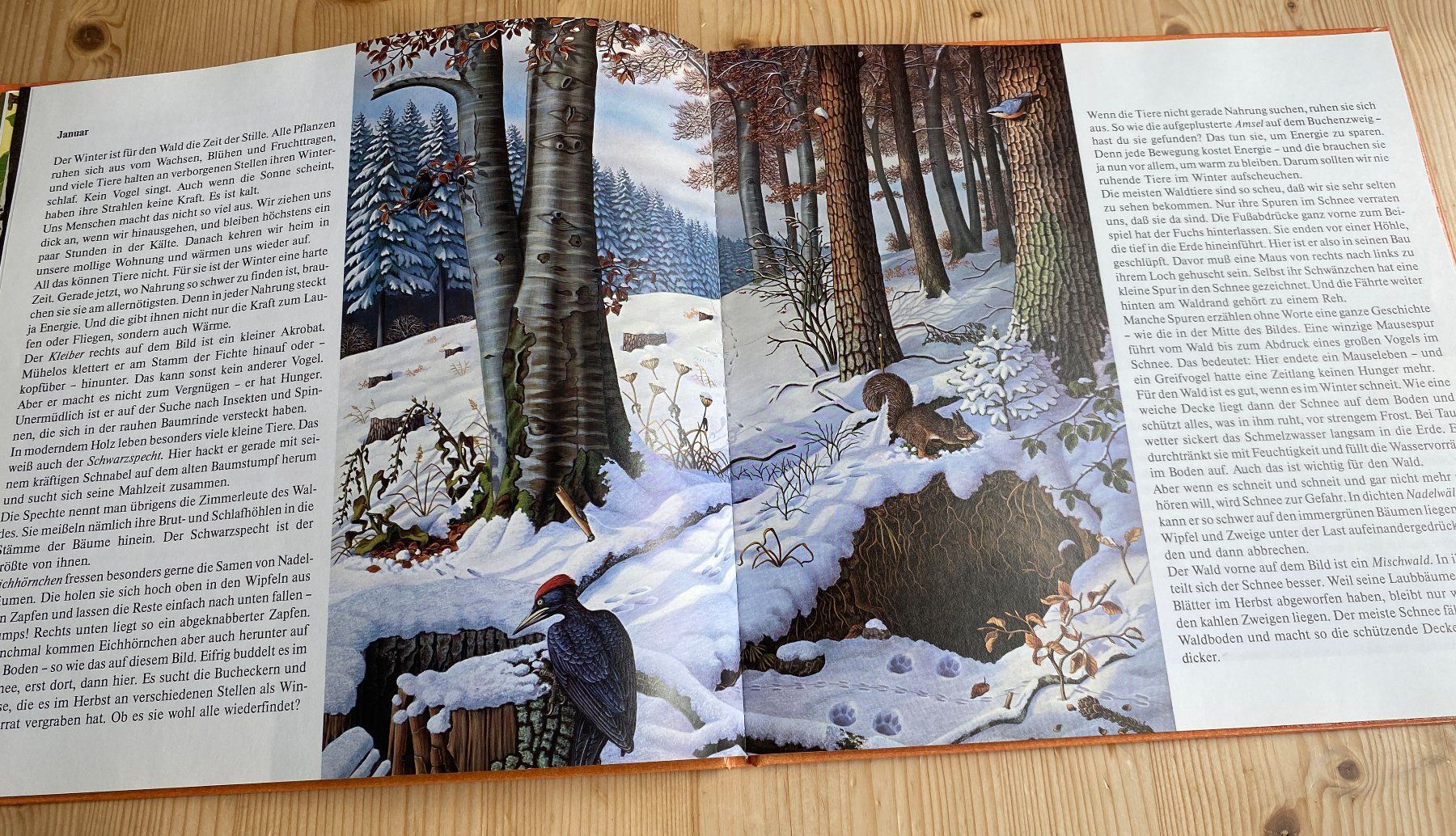 Livres: Irmgard Lucht: die Wald-Uhr – D'occasion à Weinfelden par Cheyenne21 6
