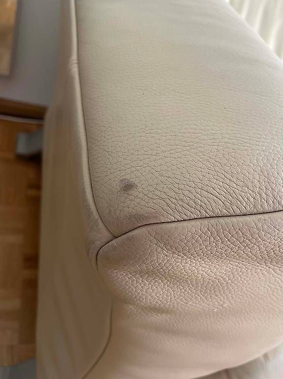 Rolf Benz Sofas: Ledersofa von Rolf Benz, 2-Sitzer – D'occasion à Allschwil par pa.die 1