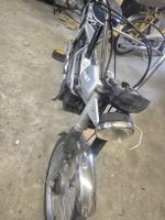 pony 503 breitwand