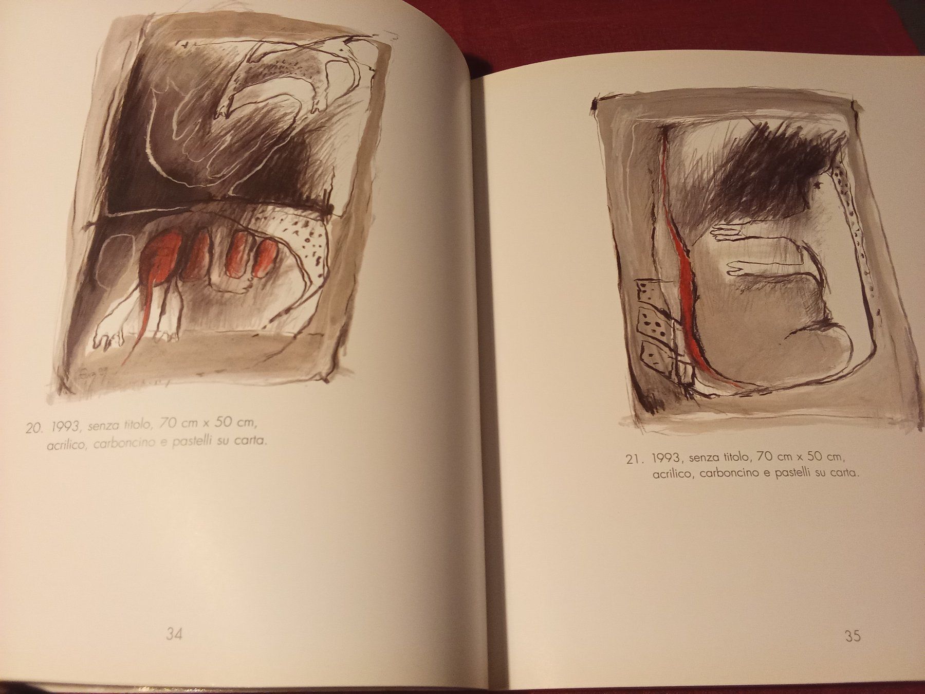 Libri: Alexandra Grosse - Brigitta Enz Bilder 1991-1995 – Usato da Remetschwil venduto da Privatflohmi 3