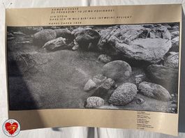 Poster mit Spruch von Karel Capek "Ein Stein"