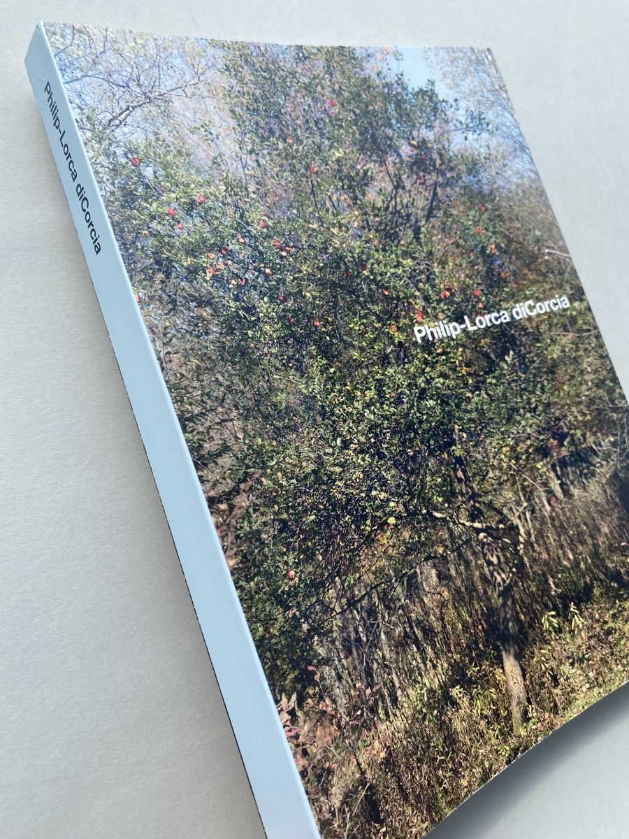 Bücher: Philip-Lorca diCorcia Photography Book Good Condition – Gebraucht aus Zürich von Coffeetable88 6