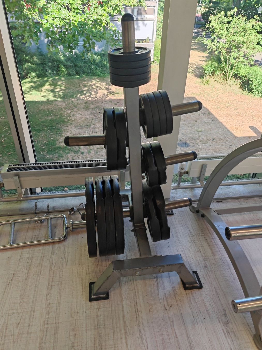 Manubri & Pesi: Bench Press + Hantelscheiben mit Hantelscheibenständer – Usato da Bern venduto da Sudowudo