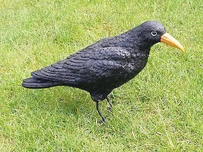 Statuette: Rabe – Nuovo e nell'imballaggio originale da Bern venduto da zwirbelch