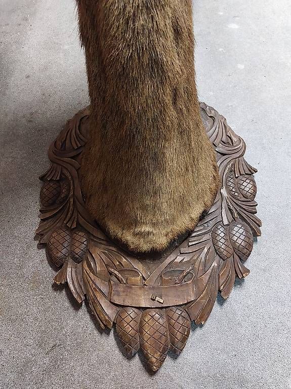 Il mondo degli animali: Ausgestopfter Hirsch – Usato da Ottikon venduto da nag-champa77 4