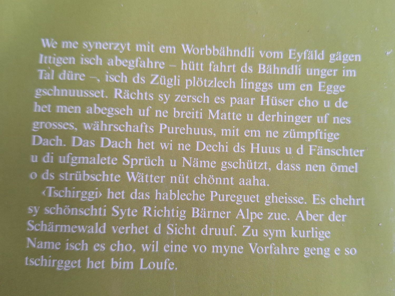 Libri: 10 STK BÜCHER BUCH MUNDART – Usato da Huttwil venduto da Kunterbuntli 6