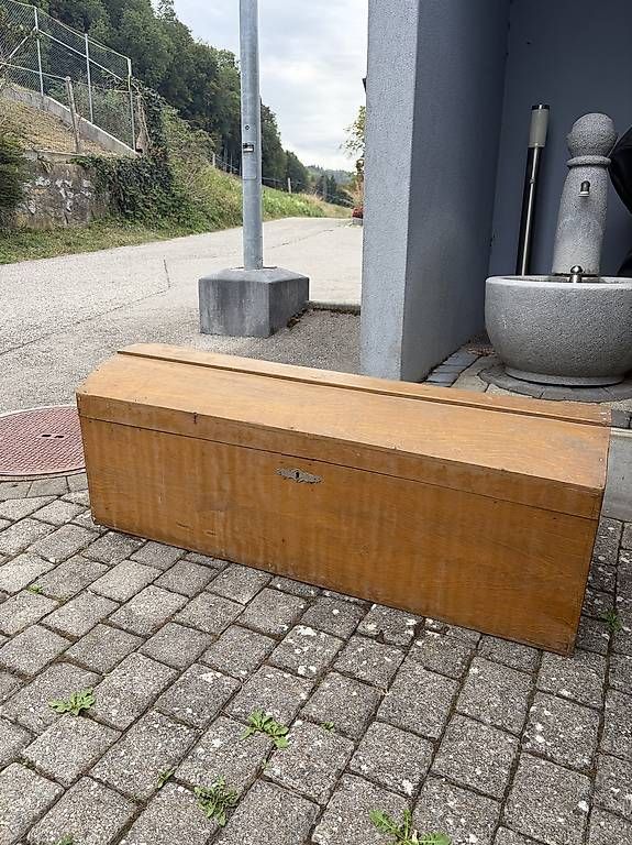 Cassapanche: Malle / coffre en bois – Usato da Ecublens FR venduto da rob0990