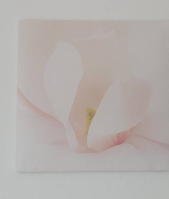Poster & Bilder: 3-teiliges Bilderset rosa Orchidee – Gebraucht aus Münchenstein von Alicia_Michelle 2