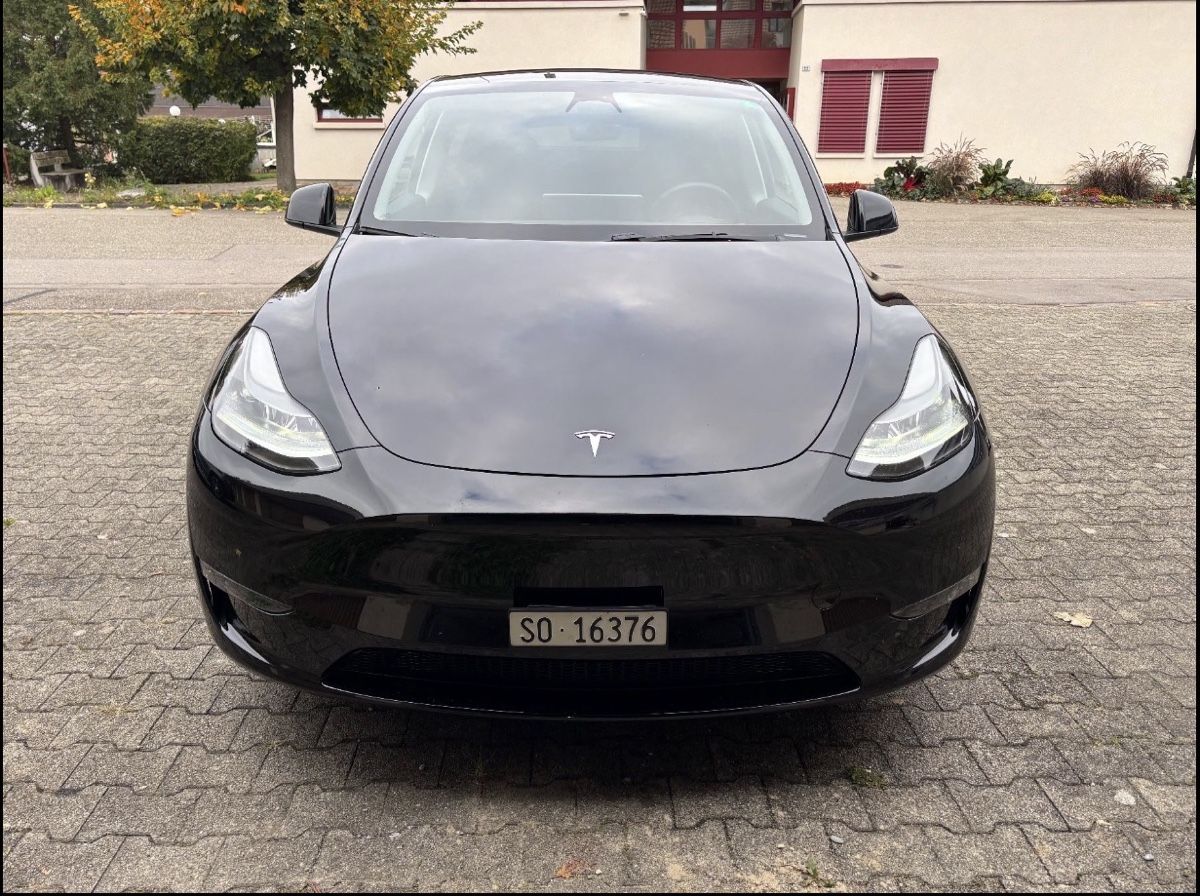Tesla Automobili: Tesla Model Y Performance 42‘000km – Usato da Diegten venduto da MLS_34 1
