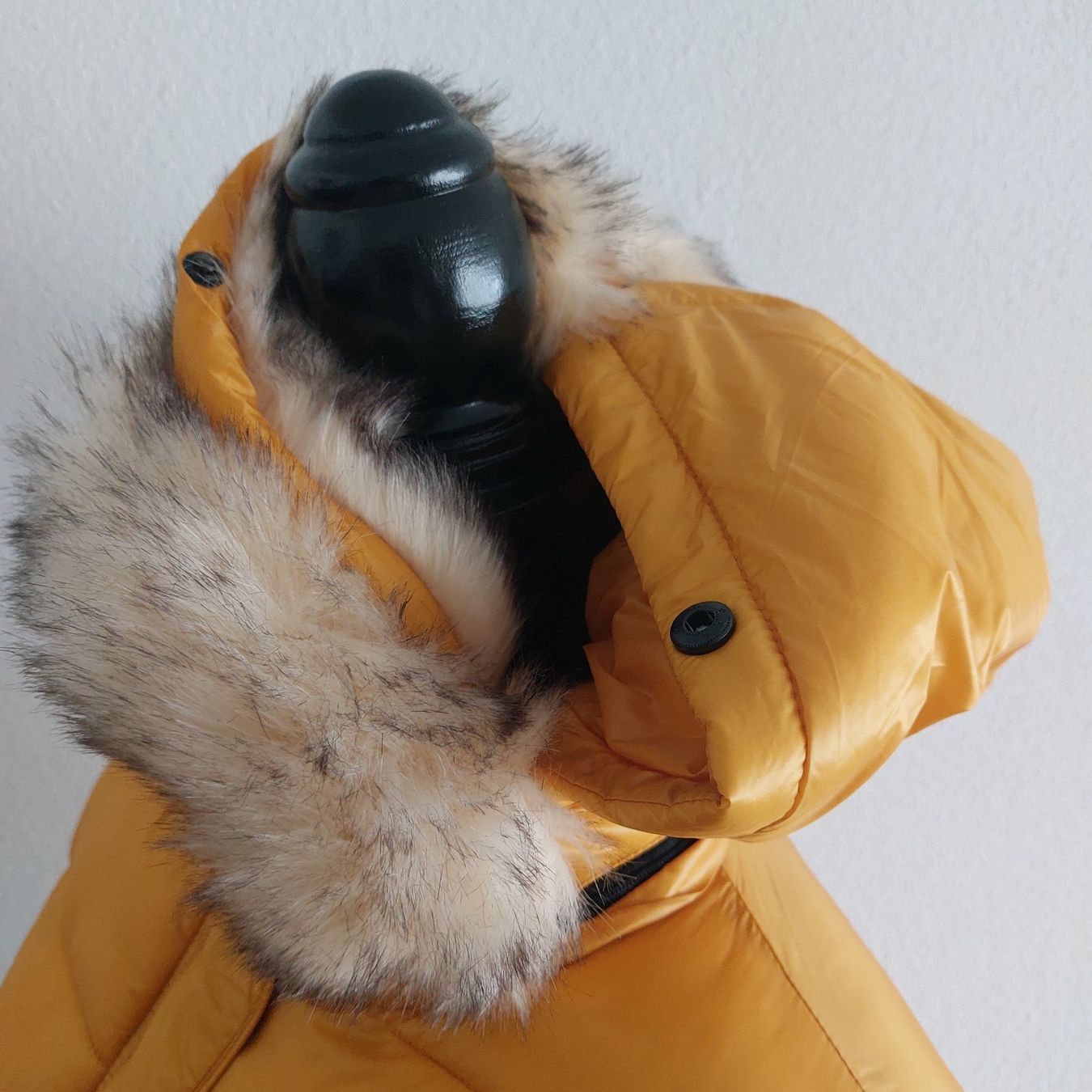 Giacche: Kaporal Jacke – Nuovo e nell'imballaggio originale da Muri AG venduto da ReBoutique 3