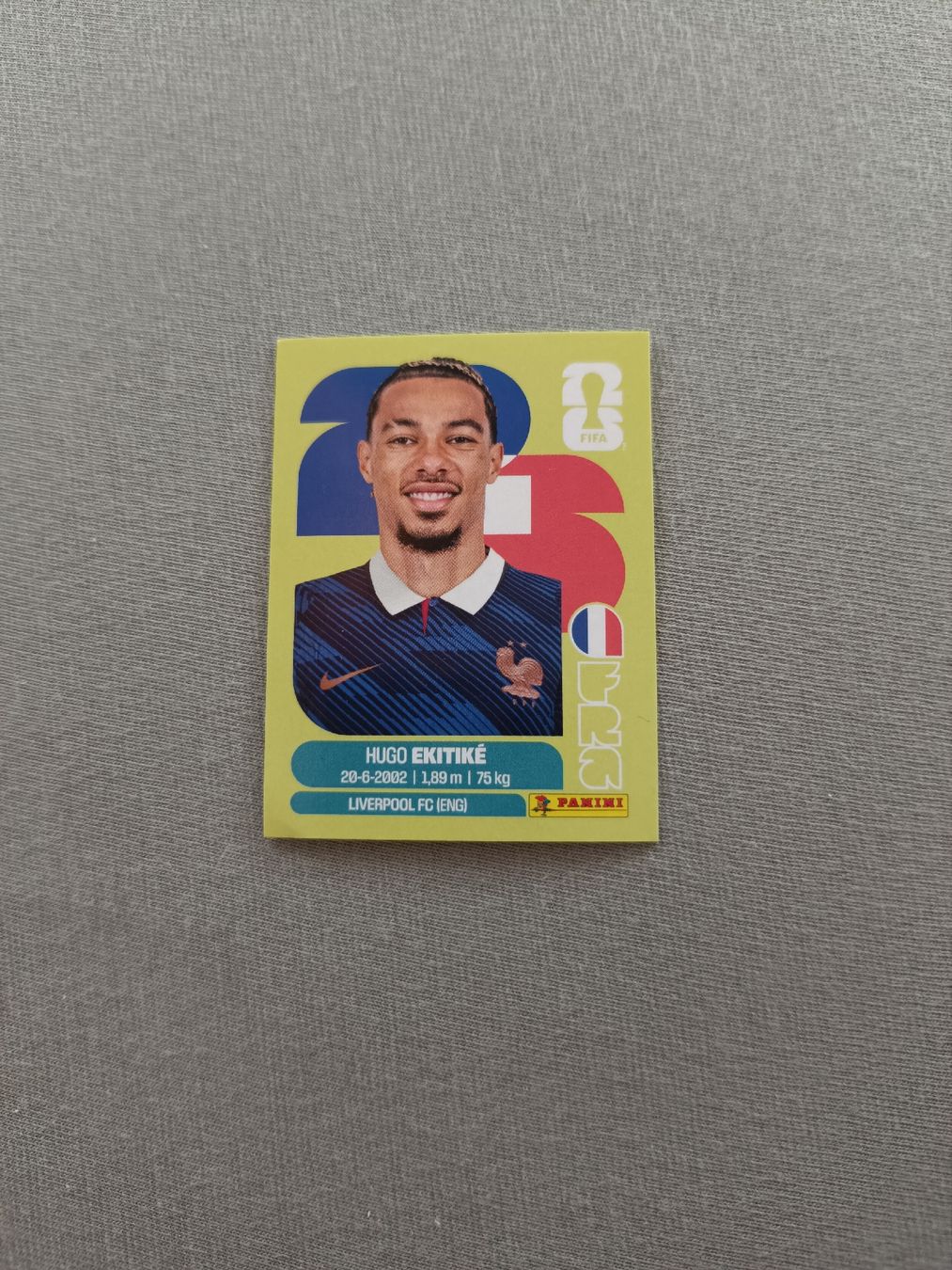 Panini Carte collezionabili: Panini FRA19 – Nuovo e nell'imballaggio originale da Muri AG venduto da Puschelknuffel