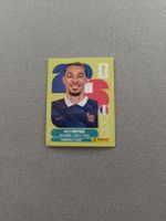 Panini FRA19