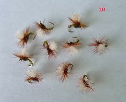 10Stück verschidne Trockene Fliege
