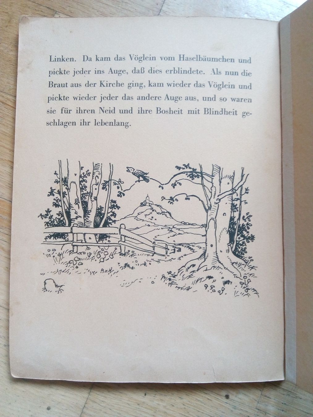 Libri: Rotkäppchen und andere Märchen von Gebrüder Grimm – Usato da St. Gallen venduto da elk2024 6