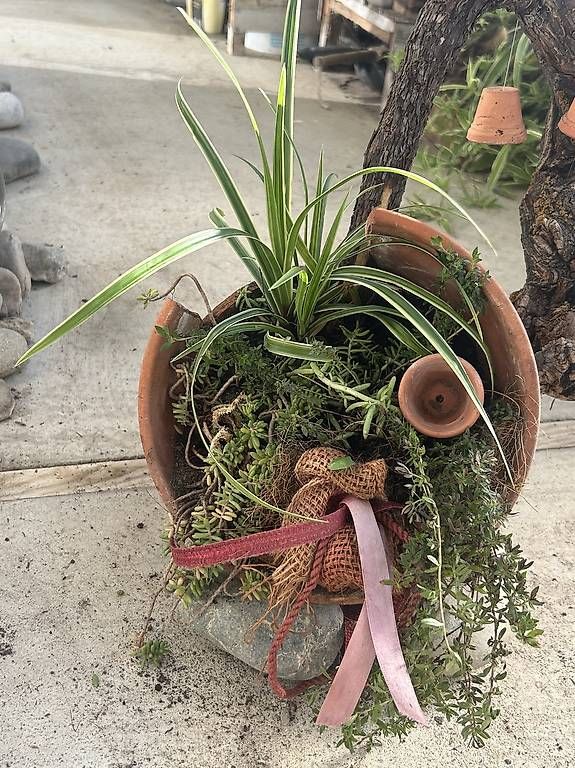 Vasi per fiori: Liegender Blumentopf bepflanzt  – Nuovo e nell'imballaggio originale da Frauenfeld venduto da Irene.Schuppli 4