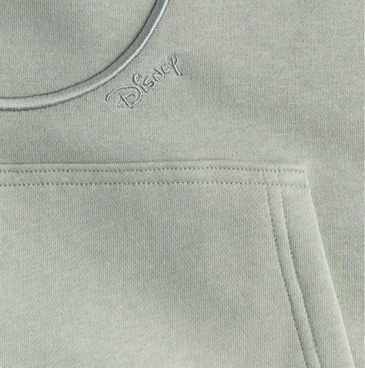 H&M Maglioni & Felpe: Disney Hoodie – Usato da Läufelfingen venduto da petit-nicola 1