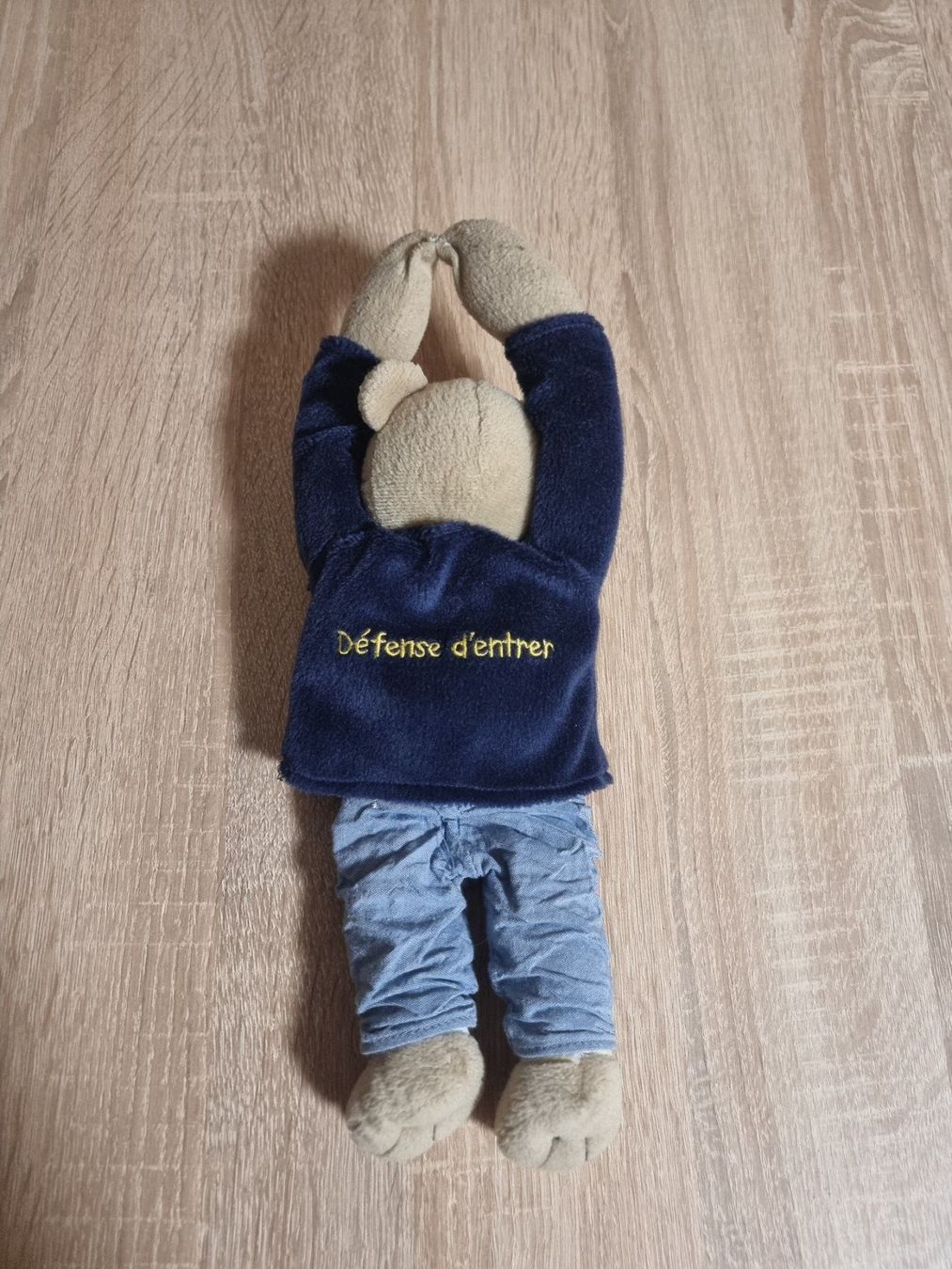 Giocattoli: Peluche panneau de porte – Usato da Grandson venduto da Adrixx1422 1