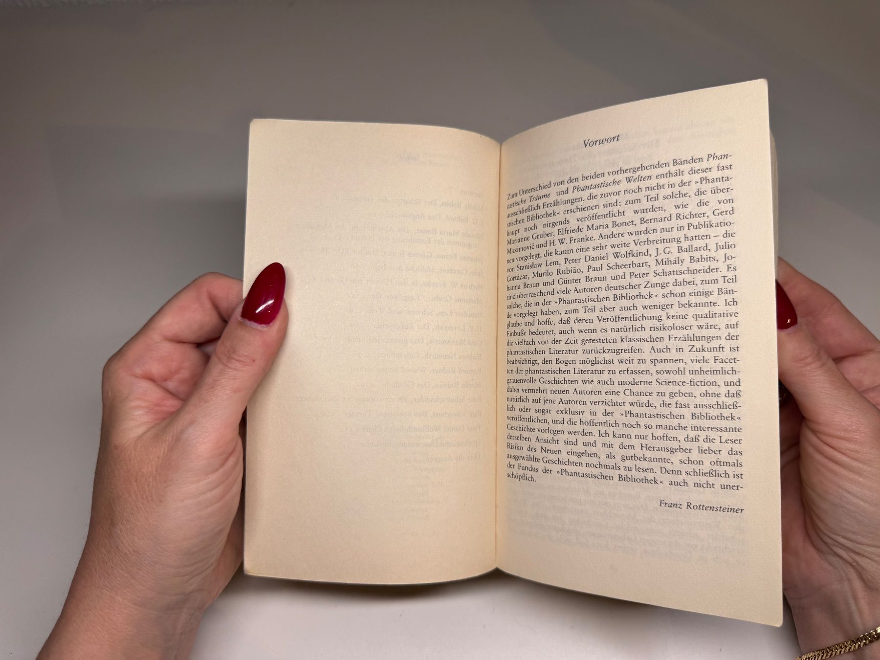 Libri: BUCH: Phantastische Aussichten – Usato da Grosswangen venduto da Kleine.Knoepfe 4