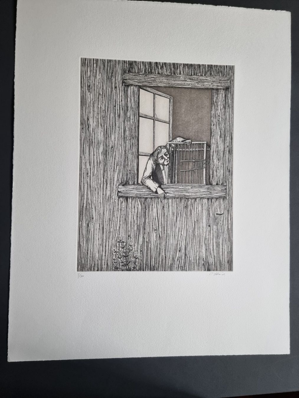 Grafica & Litografie: PETER STREICH RADIERUNG SIGNIERT NUMMERIERT – Usato da Gersau venduto da grafik-kunst 2