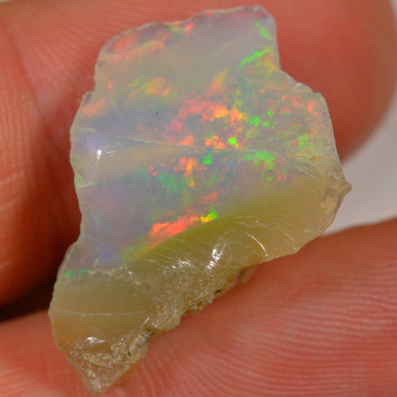 Pietre preziose: 12.9 Karat - Roher Äthiopischer Welo Opal – Nuovo (secondo la descrizione) da Rüti ZH venduto da DeinOpal 4