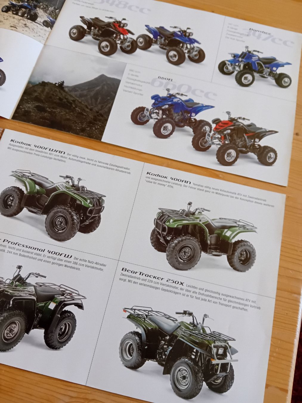Documenti: Yamaha ATV und Quad Prospekte 2003 2 Stk – Usato da St. Urban venduto da volvodreamer 2