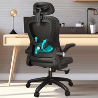 Ergonomischer Bürostuhl Netzstoff höhenverstellbar Schwarz